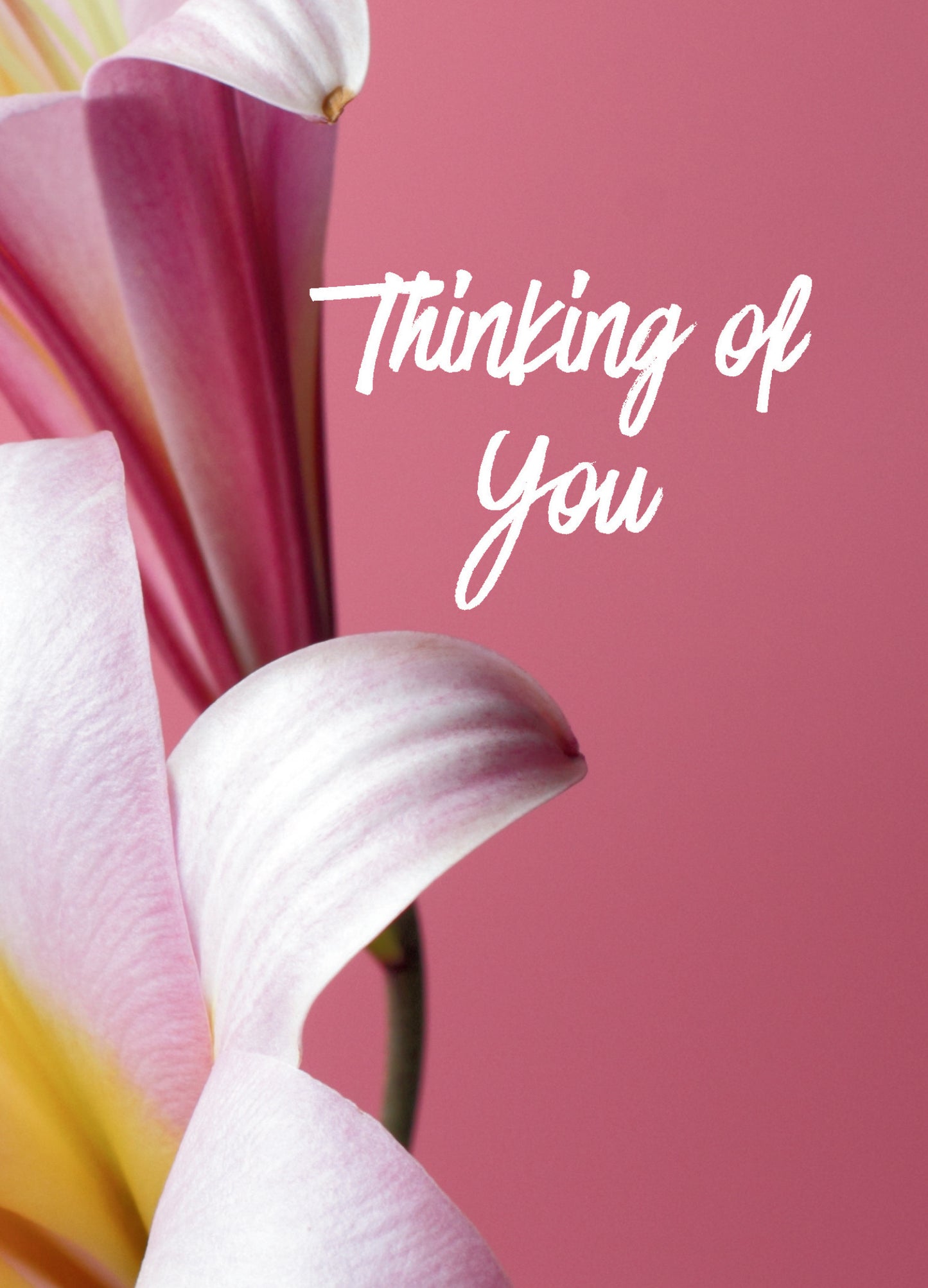 Thinking of You - Just Because | Chosen Ecard